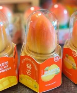 PROPITIOUS MANGO ICE CREAM