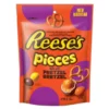 Reese's Pretzel Bites 170g Bar Wholesale - Case of 12